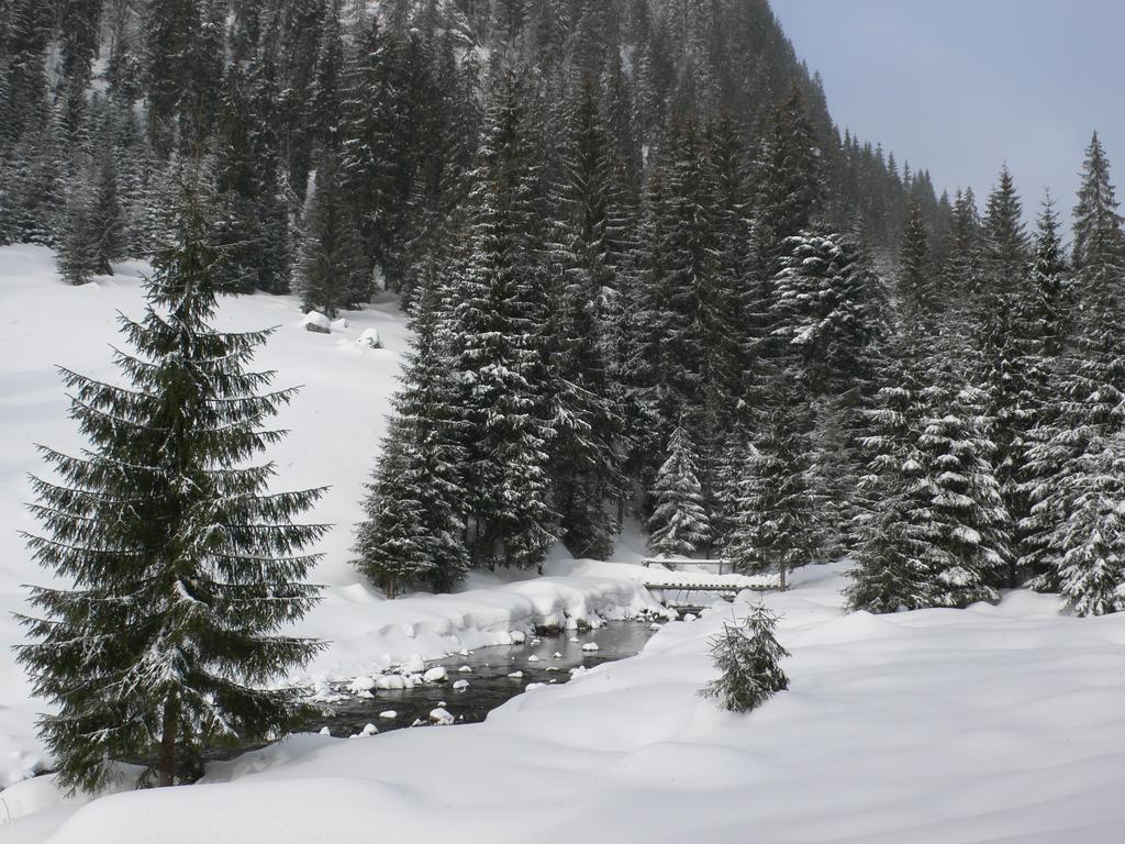 Arnica Montana Hotel Lepus Kültér fotó