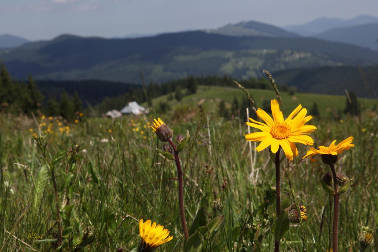 Arnica Montana Hotel Lepus Kültér fotó