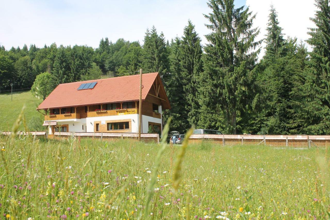 Arnica Montana Hotel Lepus Kültér fotó