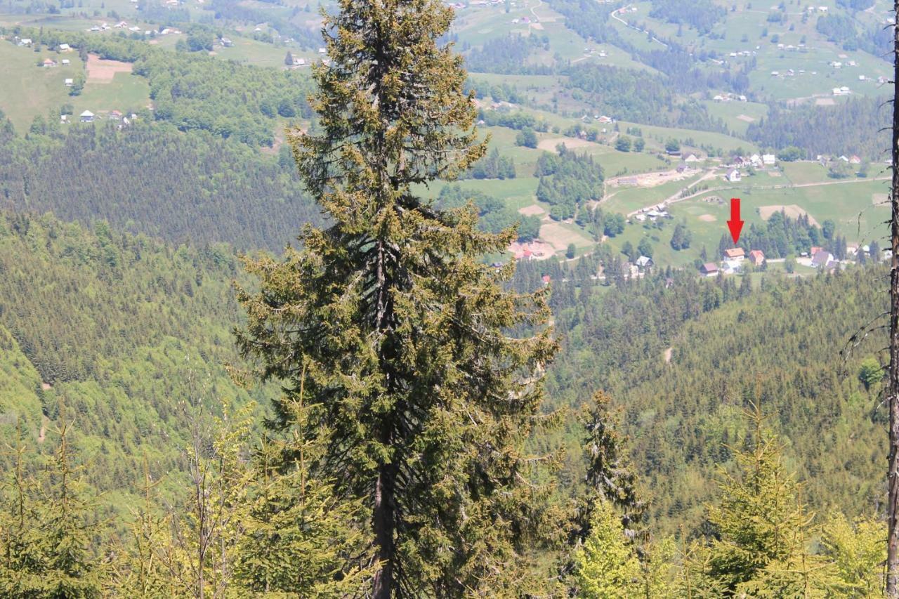 Arnica Montana Hotel Lepus Kültér fotó