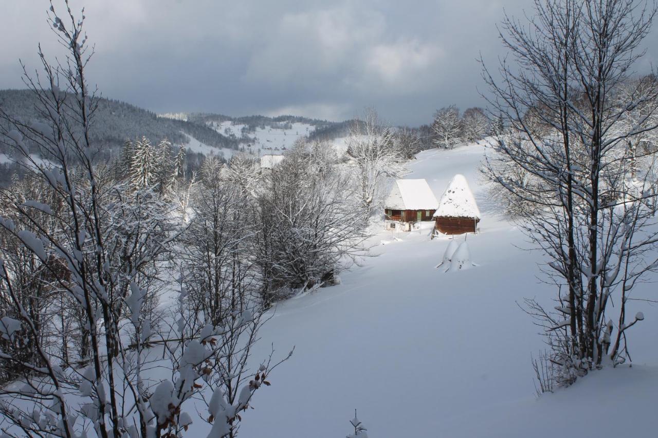 Arnica Montana Hotel Lepus Kültér fotó